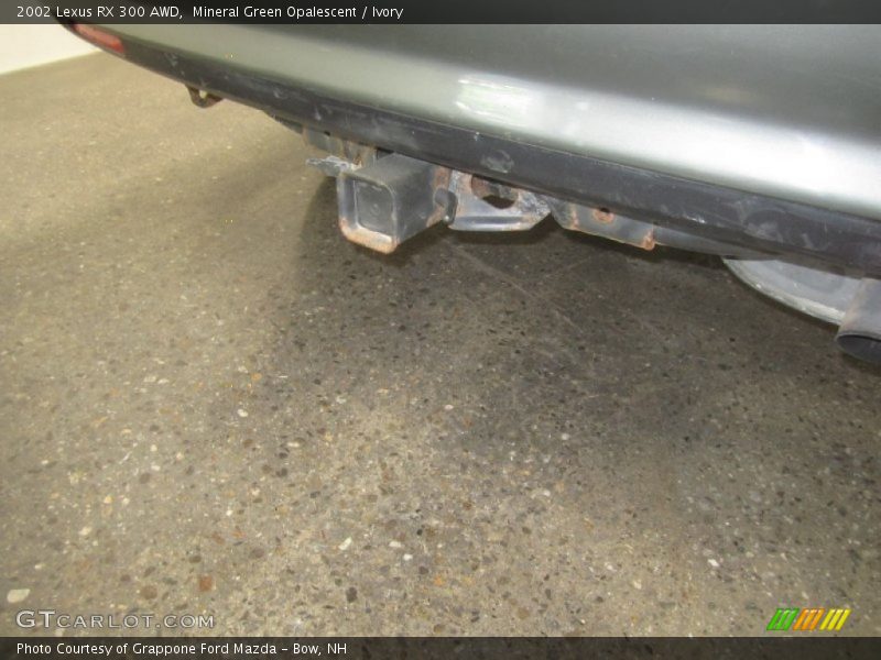 Mineral Green Opalescent / Ivory 2002 Lexus RX 300 AWD