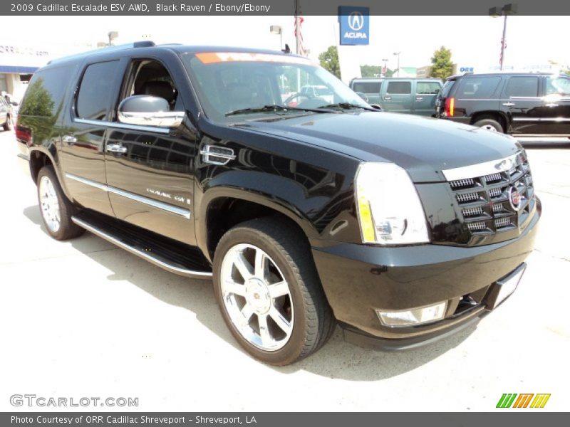 Black Raven / Ebony/Ebony 2009 Cadillac Escalade ESV AWD