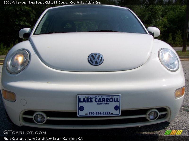 Cool White / Light Grey 2001 Volkswagen New Beetle GLS 1.8T Coupe