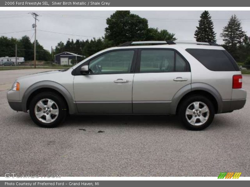  2006 Freestyle SEL Silver Birch Metallic
