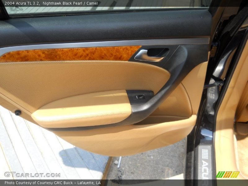 Nighthawk Black Pearl / Camel 2004 Acura TL 3.2