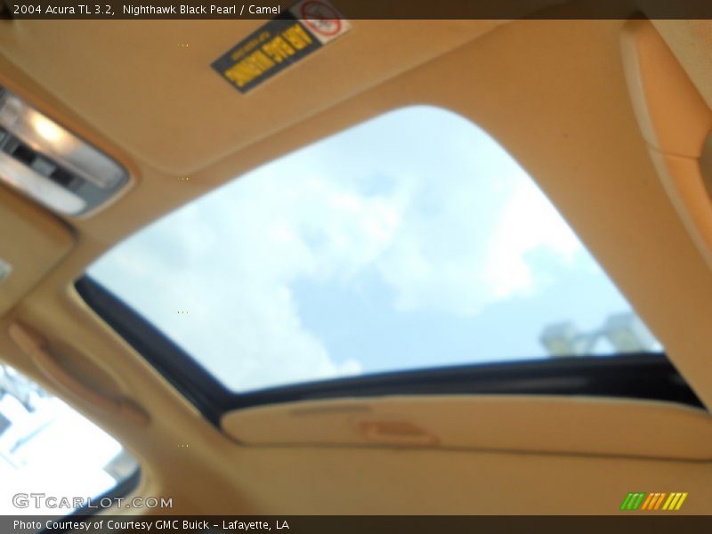 Nighthawk Black Pearl / Camel 2004 Acura TL 3.2
