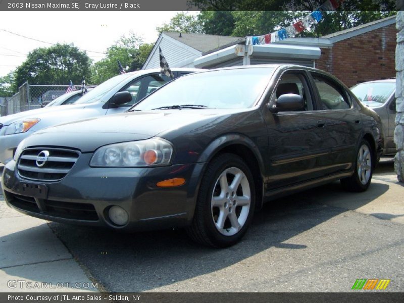 Gray Lustre / Black 2003 Nissan Maxima SE