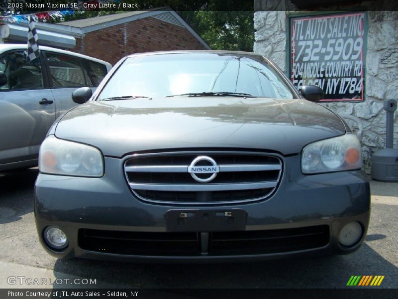 Gray Lustre / Black 2003 Nissan Maxima SE