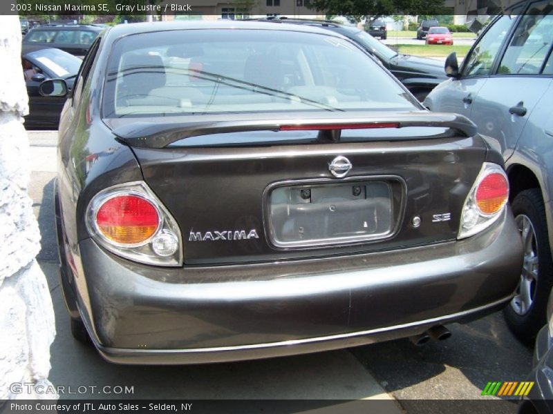 Gray Lustre / Black 2003 Nissan Maxima SE