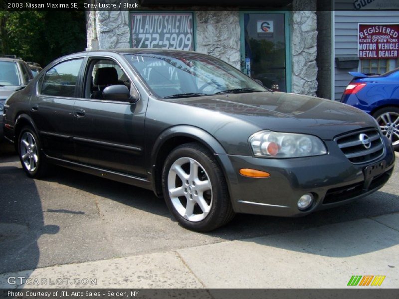Gray Lustre / Black 2003 Nissan Maxima SE