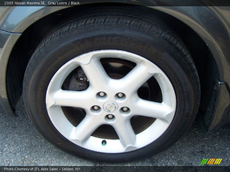 Gray Lustre / Black 2003 Nissan Maxima SE