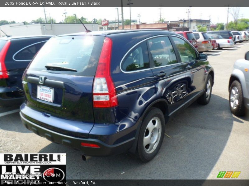 Royal Blue Pearl / Black 2009 Honda CR-V LX 4WD