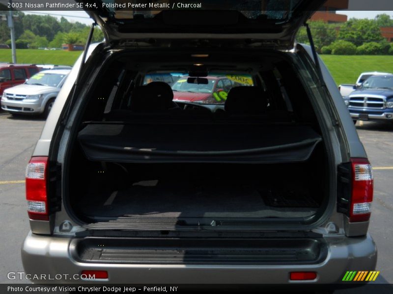 Polished Pewter Metallic / Charcoal 2003 Nissan Pathfinder SE 4x4