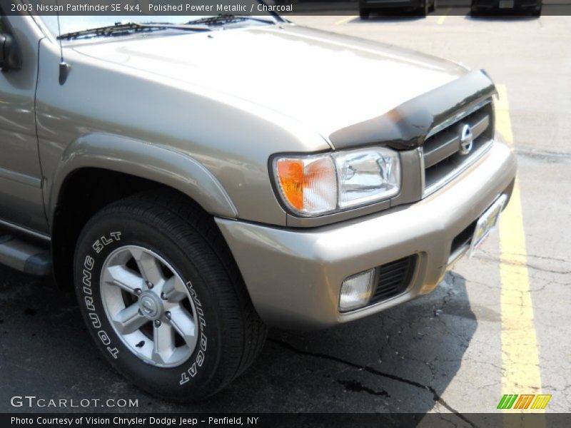 Polished Pewter Metallic / Charcoal 2003 Nissan Pathfinder SE 4x4