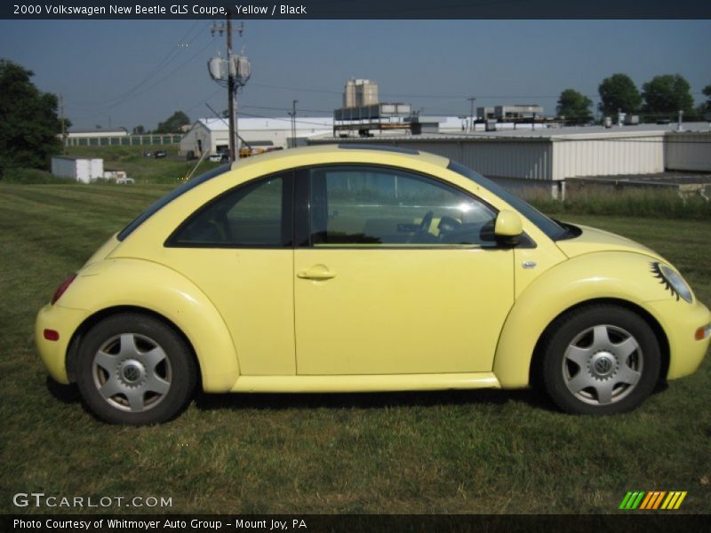 Yellow / Black 2000 Volkswagen New Beetle GLS Coupe