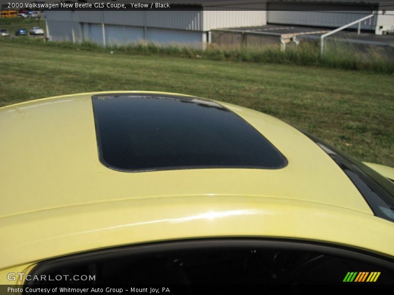 Yellow / Black 2000 Volkswagen New Beetle GLS Coupe