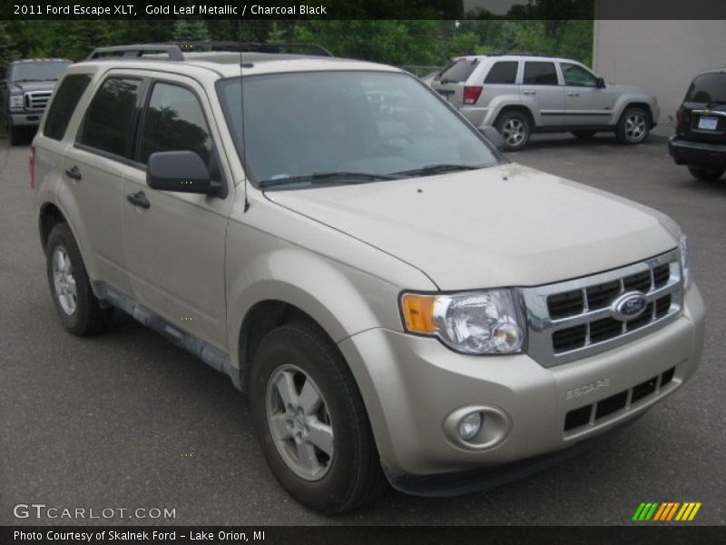 Gold Leaf Metallic / Charcoal Black 2011 Ford Escape XLT