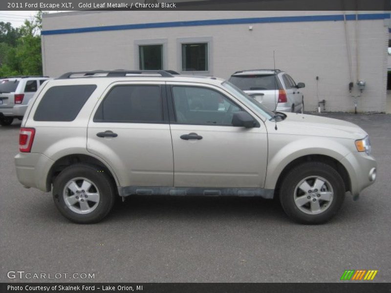 Gold Leaf Metallic / Charcoal Black 2011 Ford Escape XLT