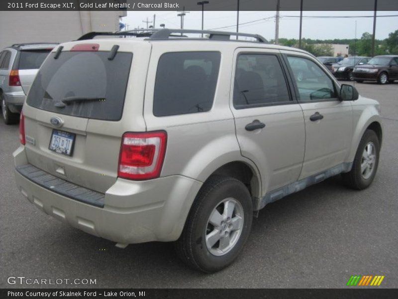 Gold Leaf Metallic / Charcoal Black 2011 Ford Escape XLT