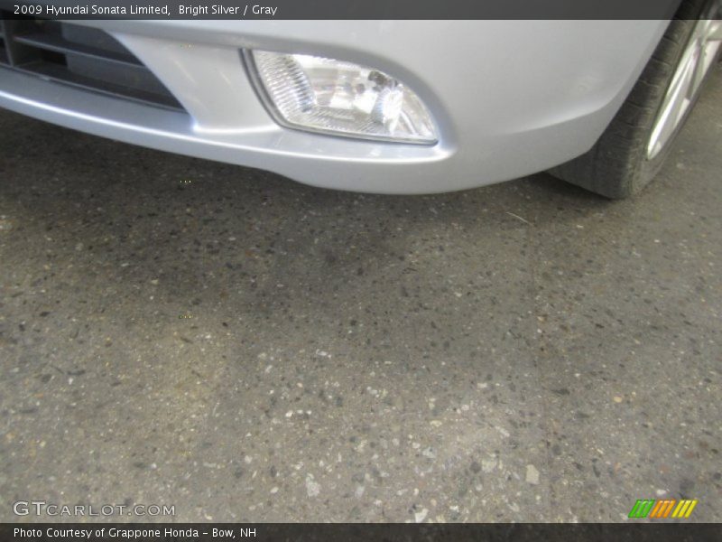 Bright Silver / Gray 2009 Hyundai Sonata Limited