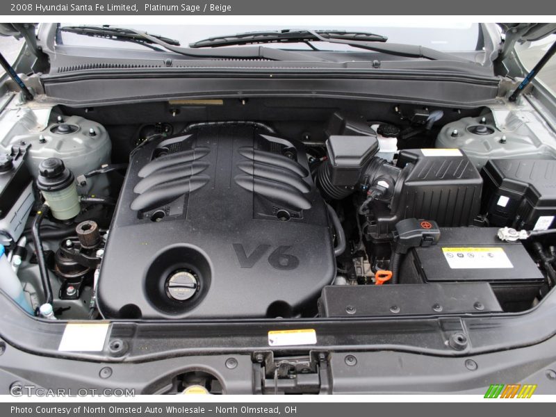 Platinum Sage / Beige 2008 Hyundai Santa Fe Limited