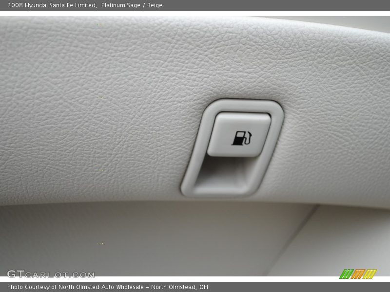 Platinum Sage / Beige 2008 Hyundai Santa Fe Limited