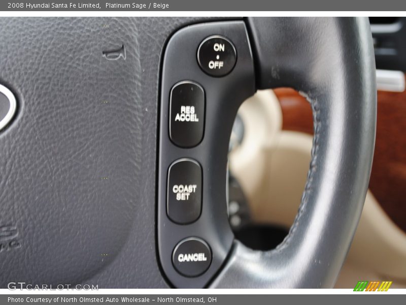 Platinum Sage / Beige 2008 Hyundai Santa Fe Limited