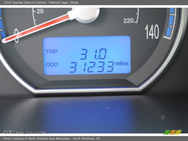 Platinum Sage / Beige 2008 Hyundai Santa Fe Limited