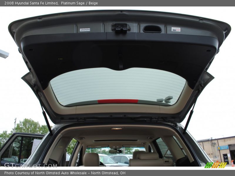 Platinum Sage / Beige 2008 Hyundai Santa Fe Limited
