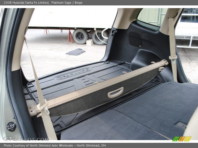 Platinum Sage / Beige 2008 Hyundai Santa Fe Limited