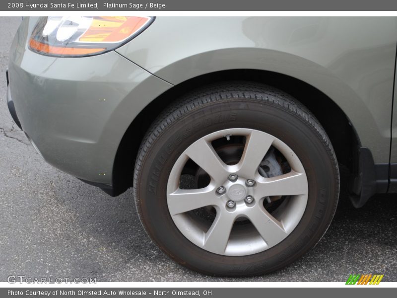 Platinum Sage / Beige 2008 Hyundai Santa Fe Limited