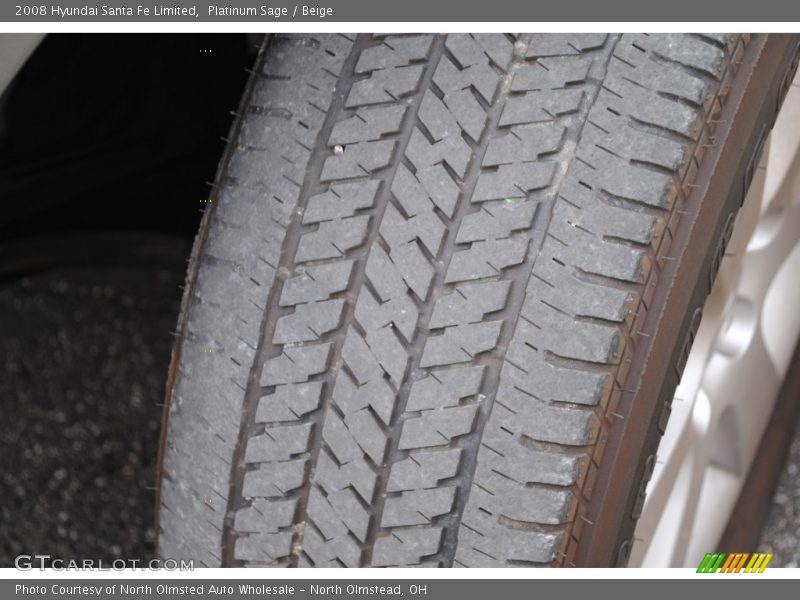 Platinum Sage / Beige 2008 Hyundai Santa Fe Limited