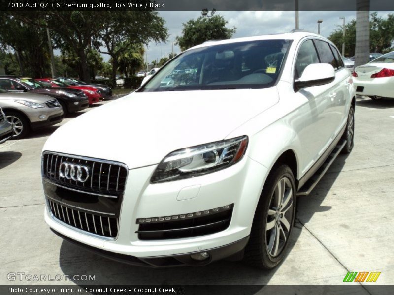 Ibis White / Black 2010 Audi Q7 3.6 Premium quattro