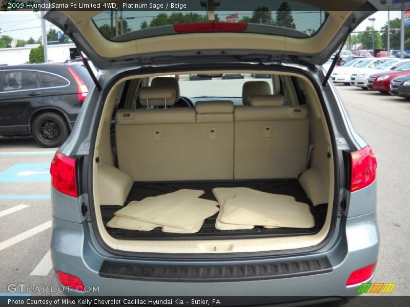 Platinum Sage / Beige 2009 Hyundai Santa Fe Limited 4WD