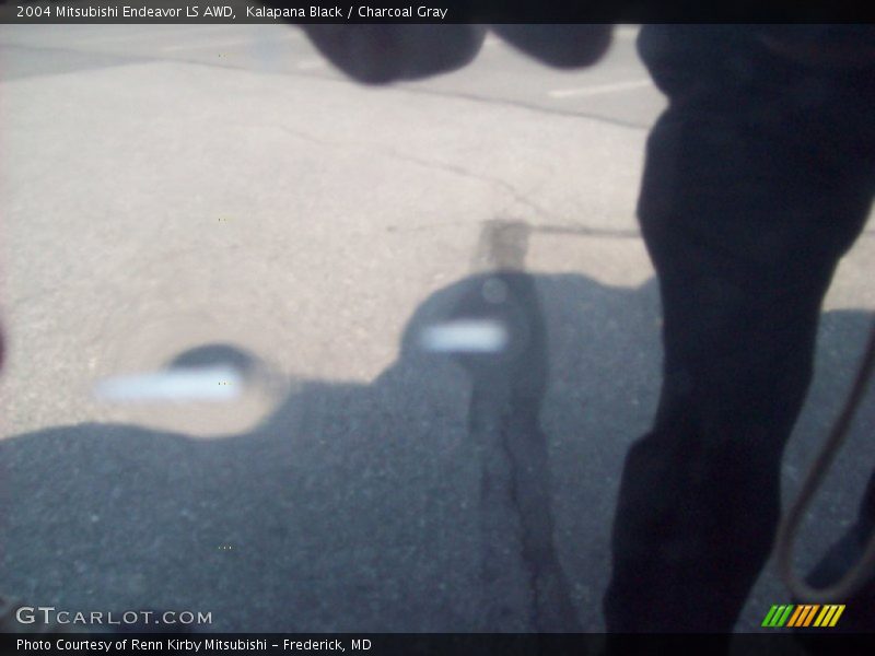 Kalapana Black / Charcoal Gray 2004 Mitsubishi Endeavor LS AWD
