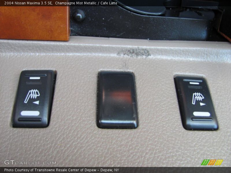 Champagne Mist Metallic / Cafe Latte 2004 Nissan Maxima 3.5 SE