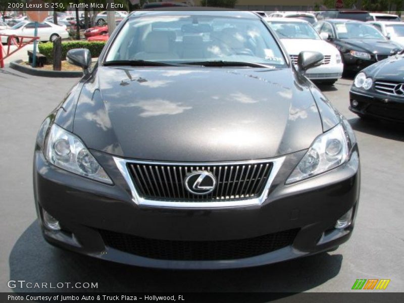 Truffle Mica / Ecru 2009 Lexus IS 250