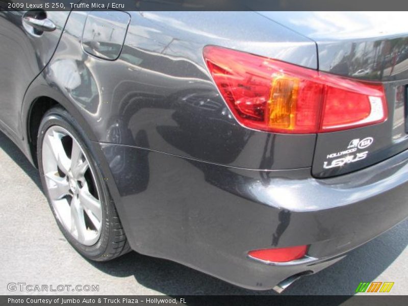 Truffle Mica / Ecru 2009 Lexus IS 250