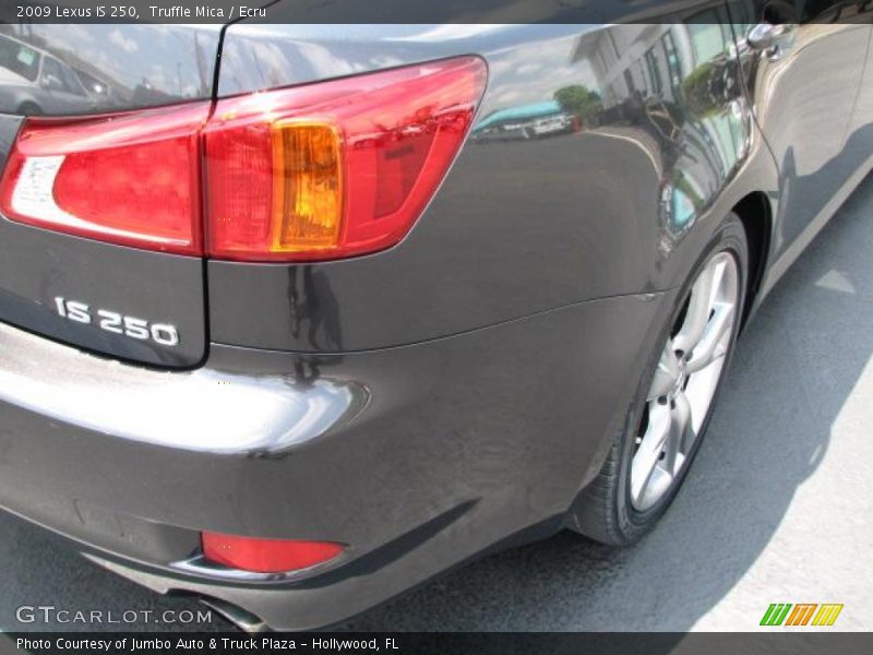 Truffle Mica / Ecru 2009 Lexus IS 250