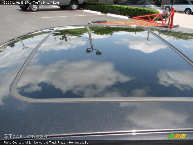 Truffle Mica / Ecru 2009 Lexus IS 250