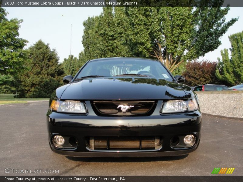 Black / Dark Charcoal/Medium Graphite 2003 Ford Mustang Cobra Coupe