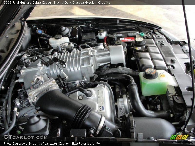  2003 Mustang Cobra Coupe Engine - 4.6 Liter SVT Supercharged DOHC 32-Valve V8