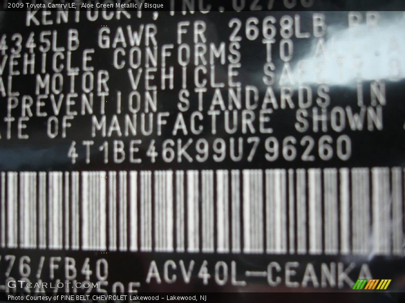 Aloe Green Metallic / Bisque 2009 Toyota Camry LE