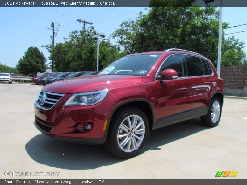 Wild Cherry Metallic / Charcoal 2011 Volkswagen Tiguan SEL