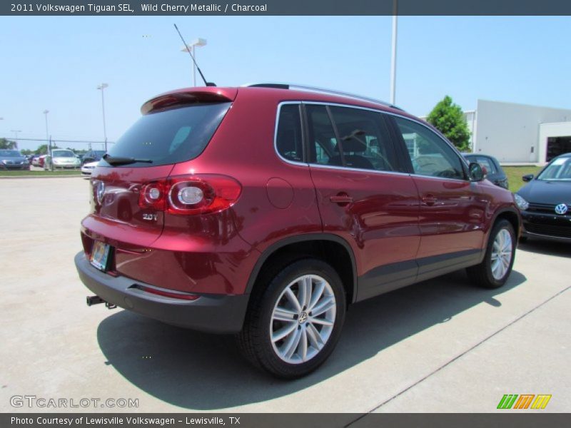 Wild Cherry Metallic / Charcoal 2011 Volkswagen Tiguan SEL