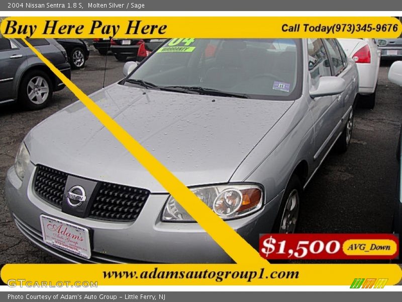 Molten Silver / Sage 2004 Nissan Sentra 1.8 S
