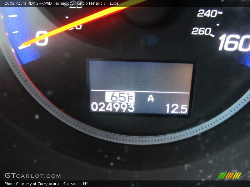 Grigio Metallic / Taupe 2009 Acura RDX SH-AWD Technology