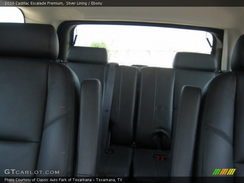 Silver Lining / Ebony 2010 Cadillac Escalade Premium