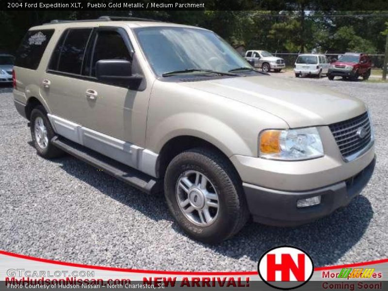 Pueblo Gold Metallic / Medium Parchment 2004 Ford Expedition XLT