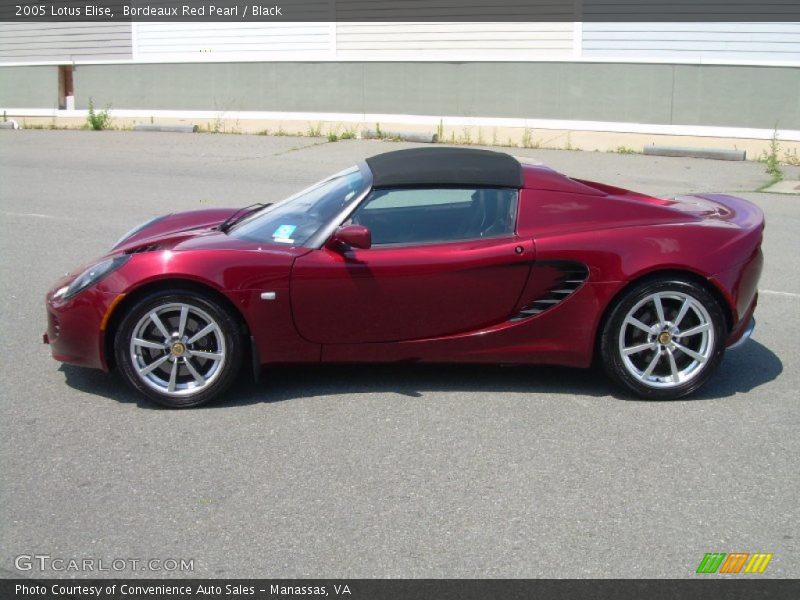  2005 Elise  Bordeaux Red Pearl