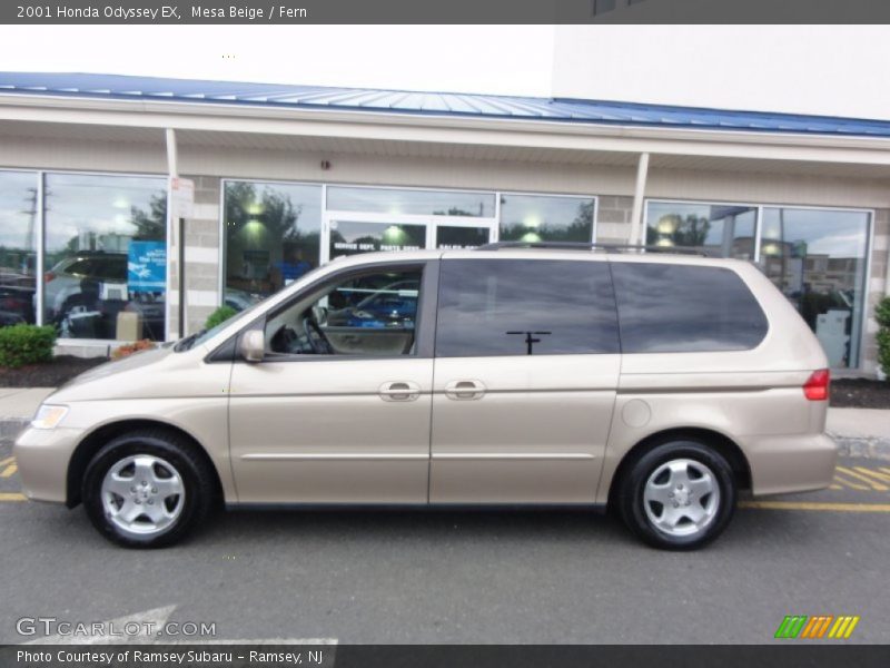 Mesa Beige / Fern 2001 Honda Odyssey EX