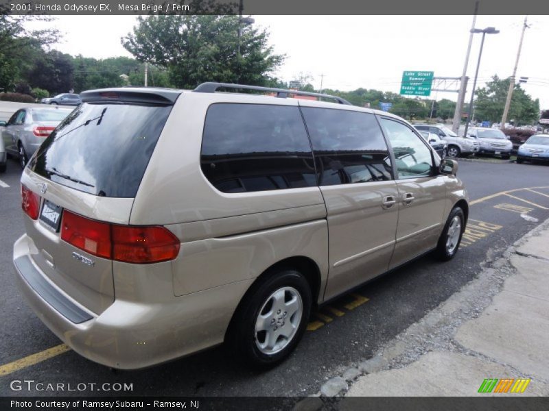 Mesa Beige / Fern 2001 Honda Odyssey EX