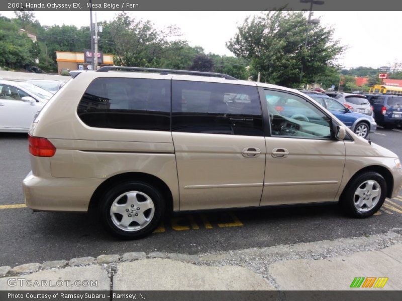 Mesa Beige / Fern 2001 Honda Odyssey EX