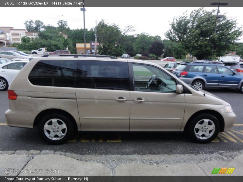 Mesa Beige / Fern 2001 Honda Odyssey EX